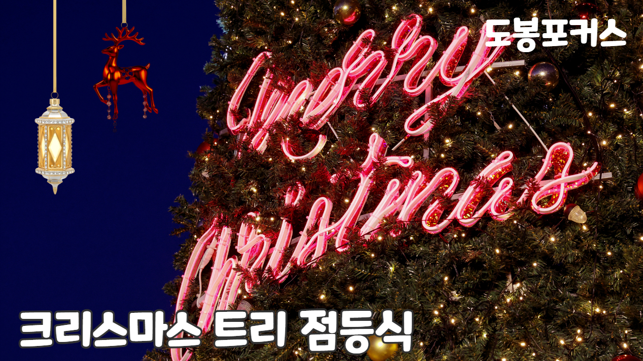 [도봉포커스] 2025 크리스마스 트리 점등식
