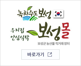 보성몰