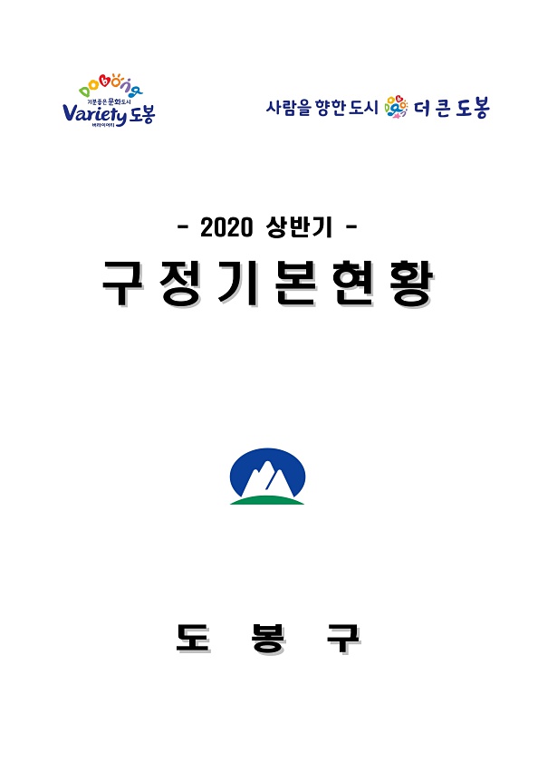 2020년 상반기 구정기본현황