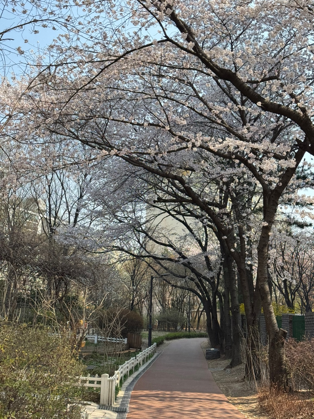 도심 속 쉼표, 발바닥공원 힐링센터에서 만나는 따뜻한 힐링 시간
