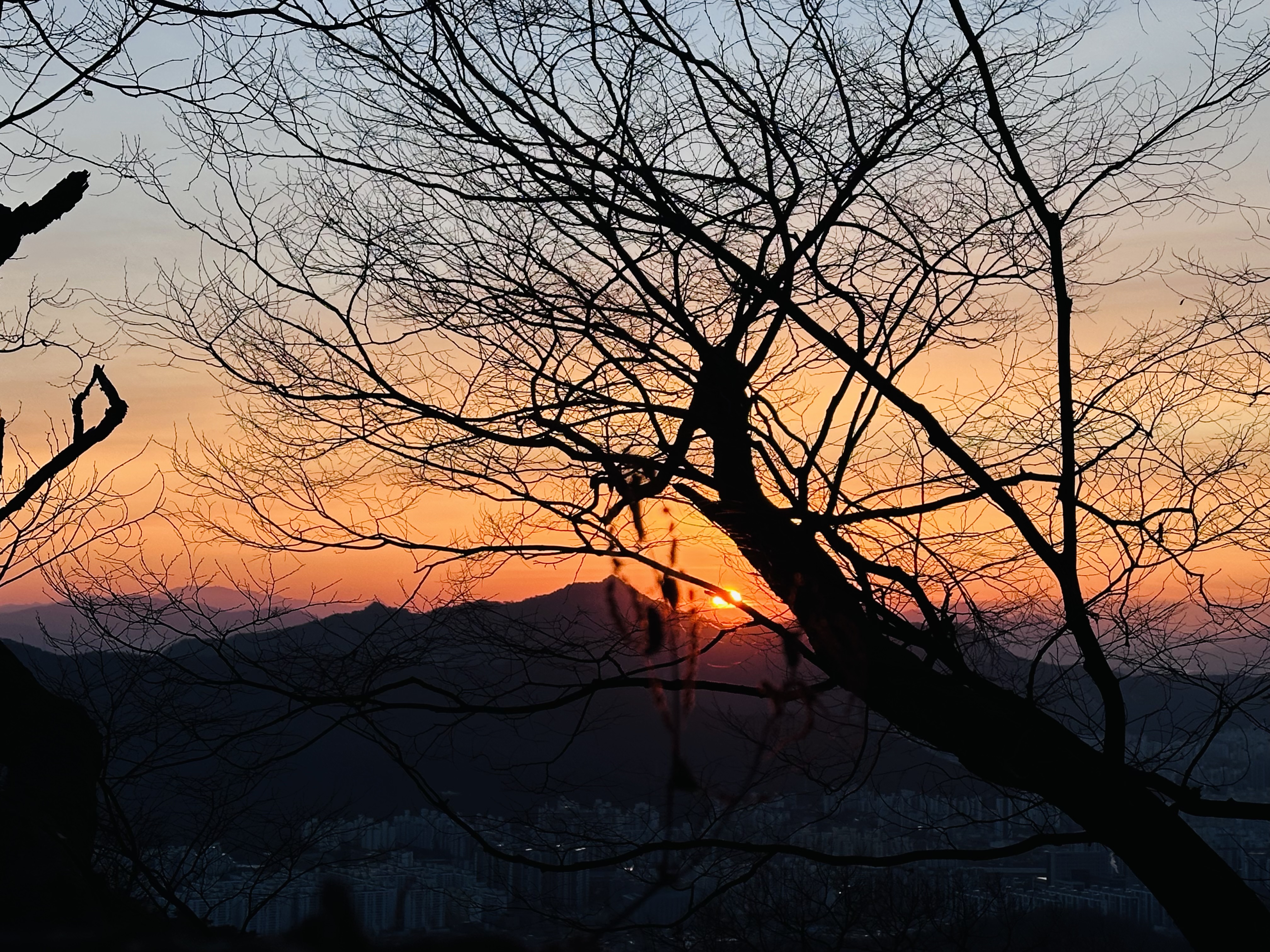 천축사에서 맞이한 붉은 말의 해, 해맞이