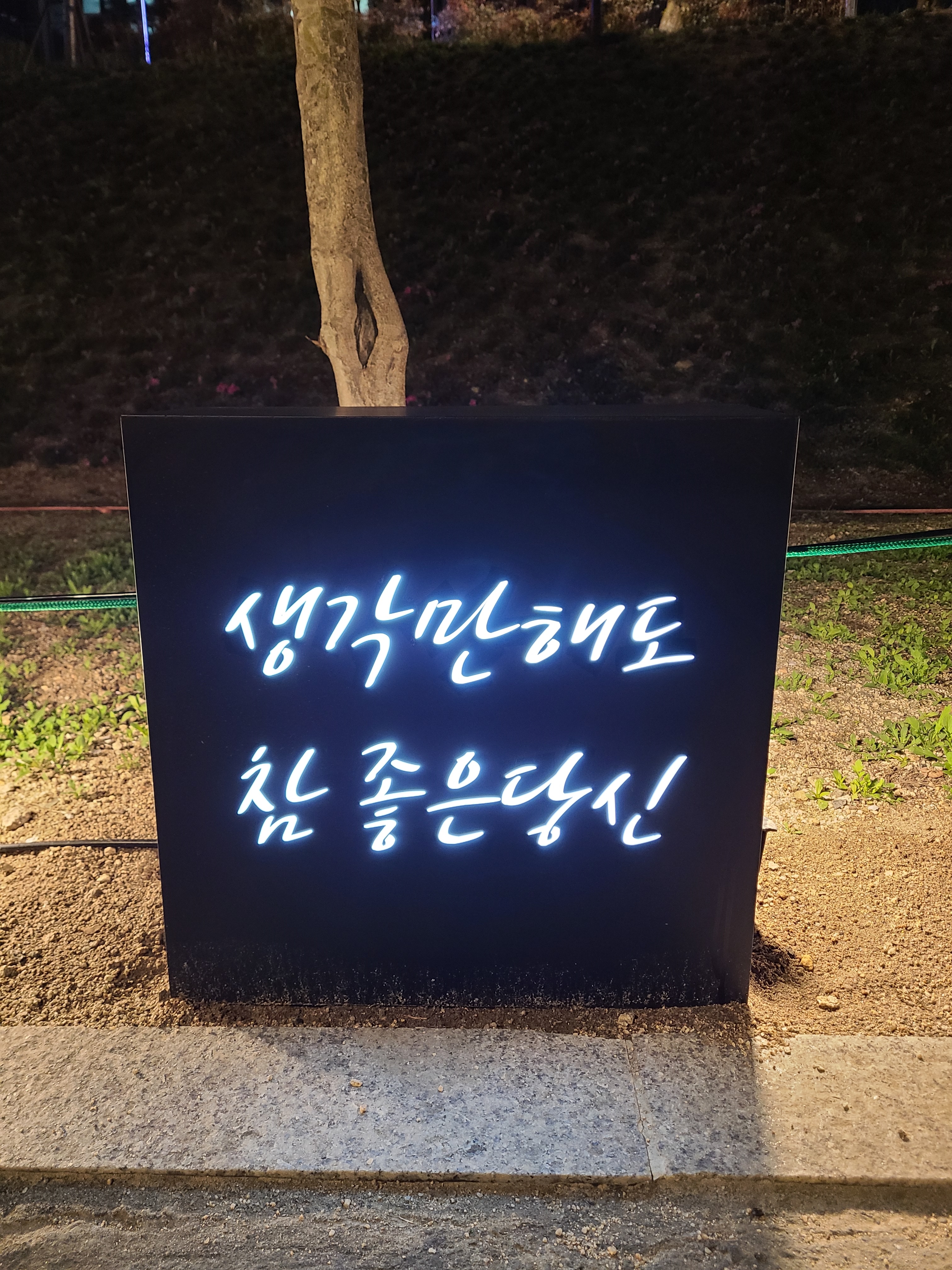 중랑천 봄빛산책 하고 왔습니다