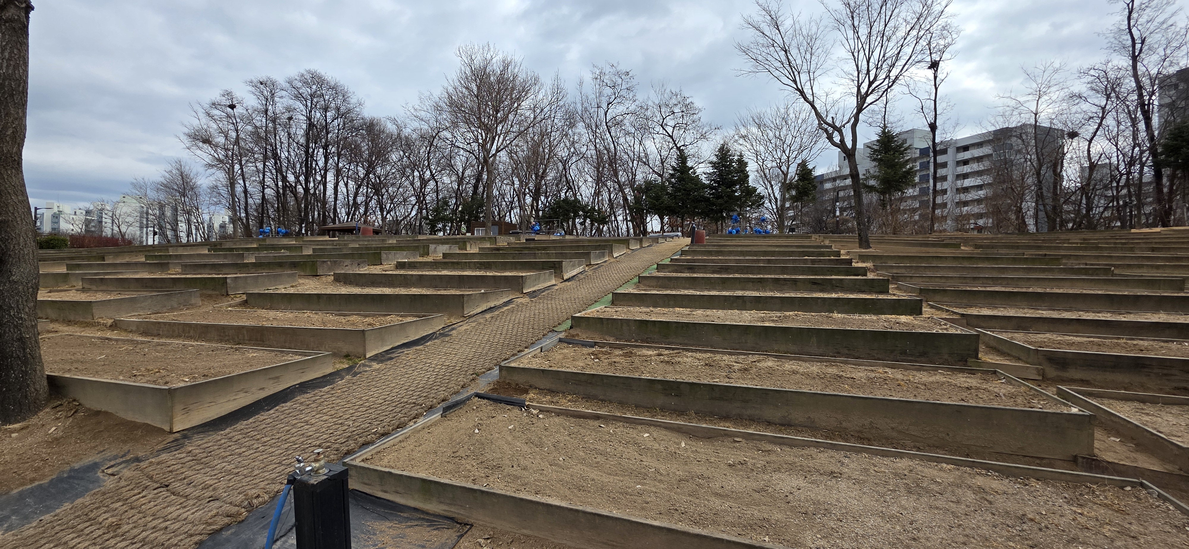 도봉구, 친환경 나눔 텃밭 871 구획 분양! ‘텃밭 가꾸며 환경도 지키고 마음도 채워요’