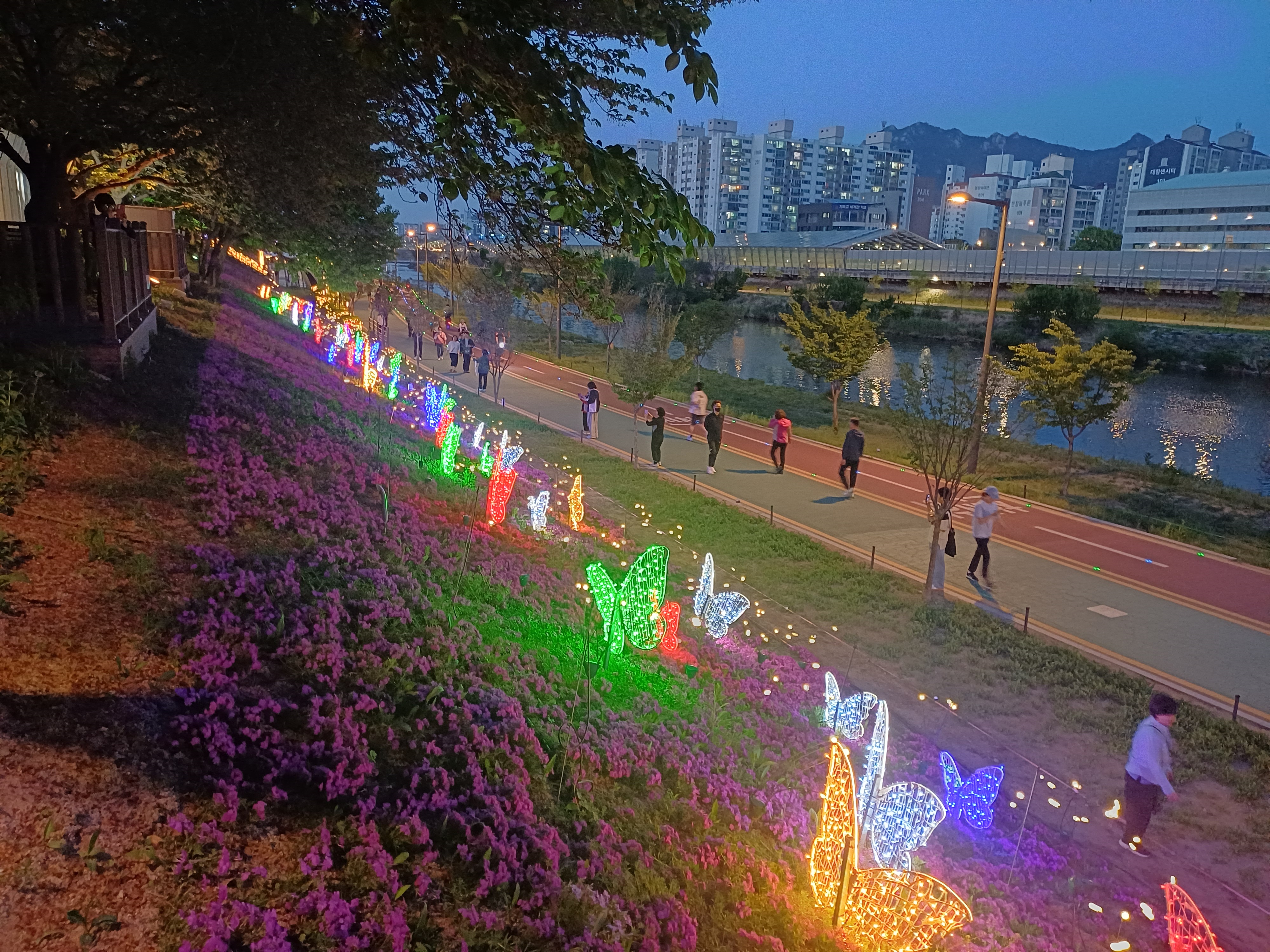 불빛으로 수 놓은 중랑천 봄빛산책