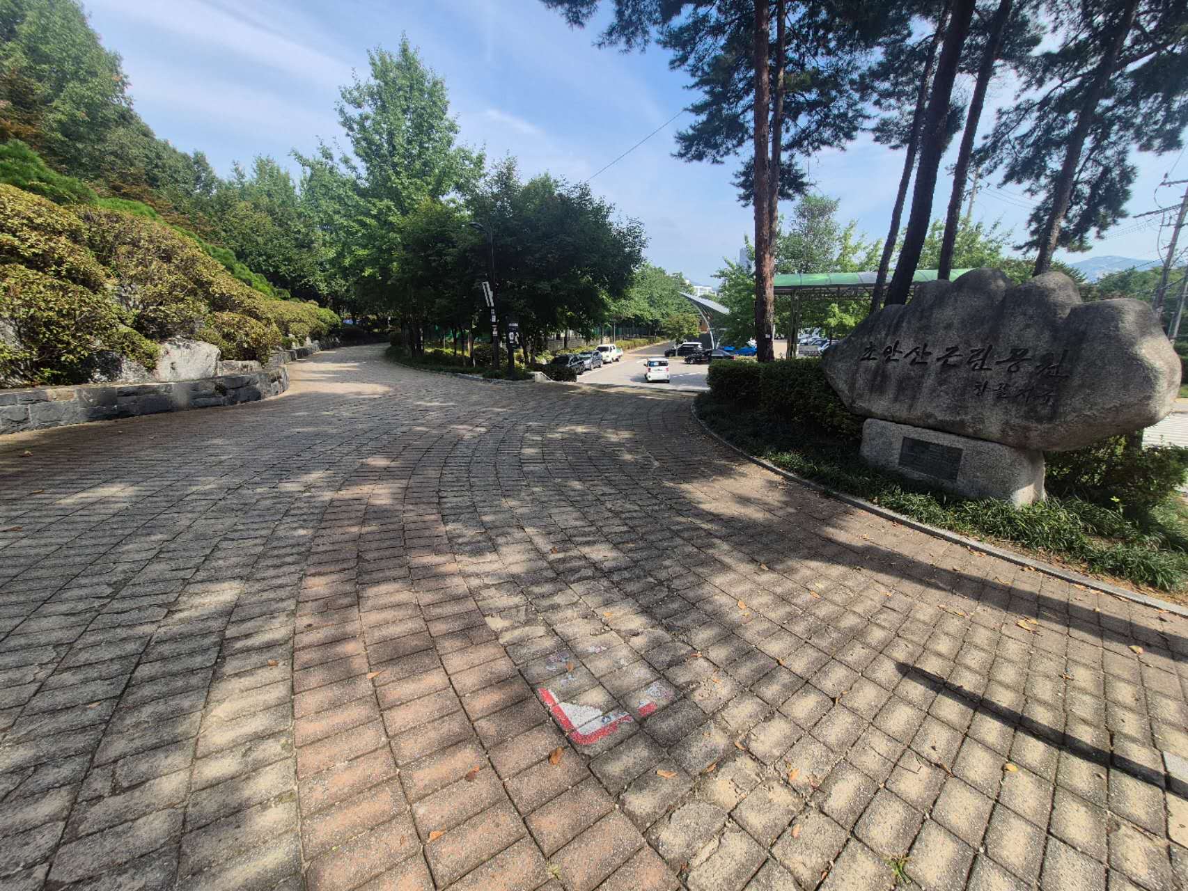 반려견 문제행동, 전문가와 함께 해결하세요