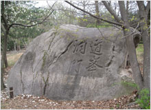 历史文化路图片1