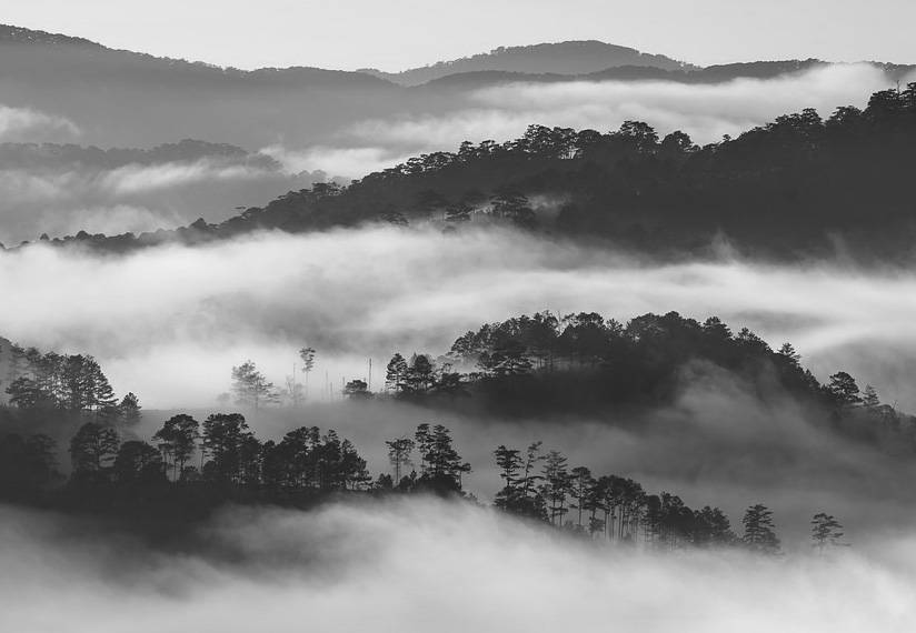 雲に包まれた道峰山の風景写真