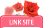 LINK SITE